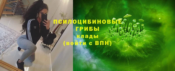 соль ск Богородицк