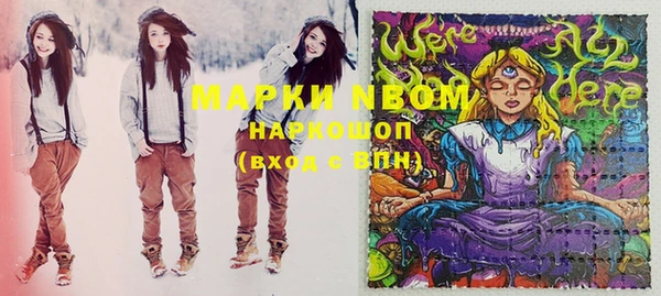 соль ск Богородицк