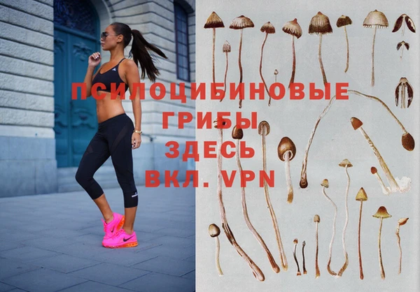 соль ск Богородицк