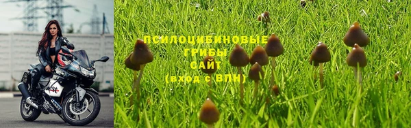 mdpv Богданович