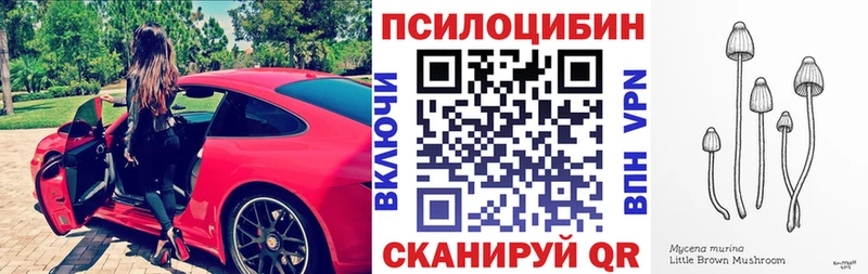 Галлюциногенные грибы Psilocybe где найти KRAKEN ссылки Мамадыш
